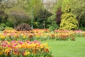 Gardens, Dublin Ireland 1